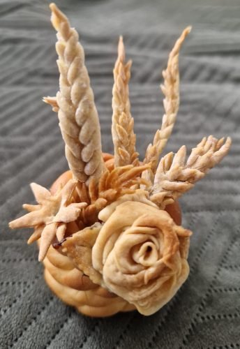 376532205_788996539894241_3200744786251454294_n